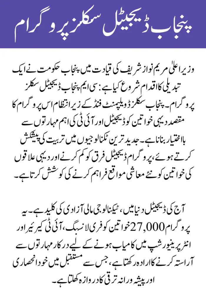 CM Punjab Digital Skills Program