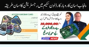 Punjab Asaan Karobar Card Loan Scheme