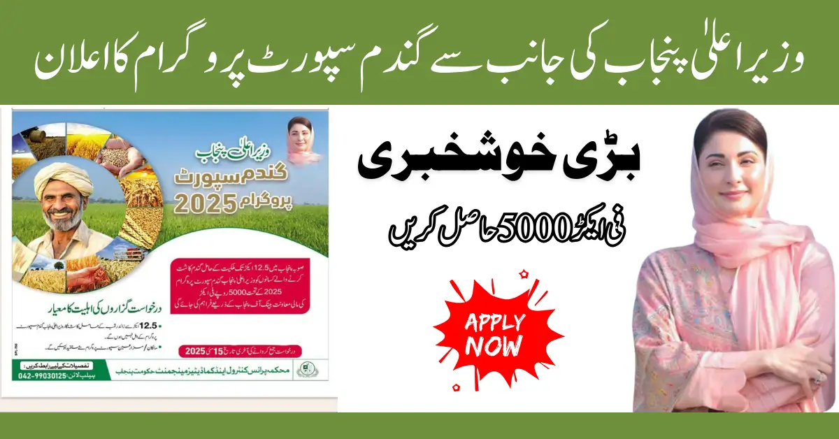 CM Punjab Announces Wheat Support Program