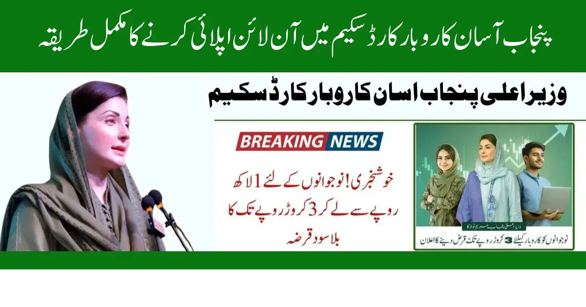 CM Punjab Asaan Karobar Card