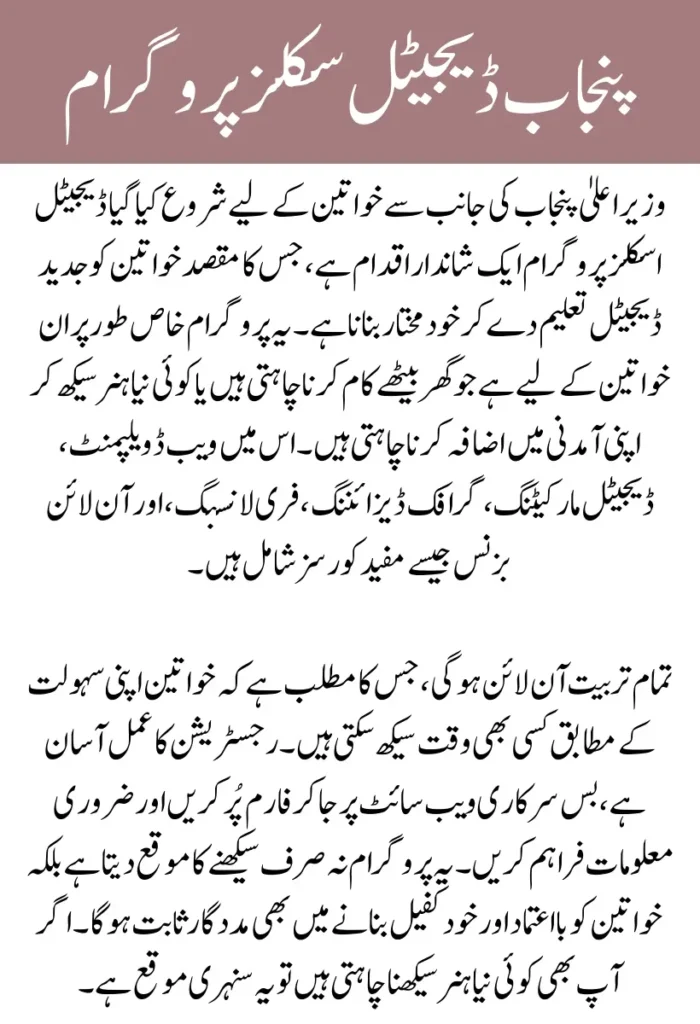 CM Punjab Digital Skills Program