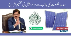 Sindh Government to Provide Solar Panels