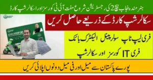 Hunarmand Punjab Batch 2 Registration