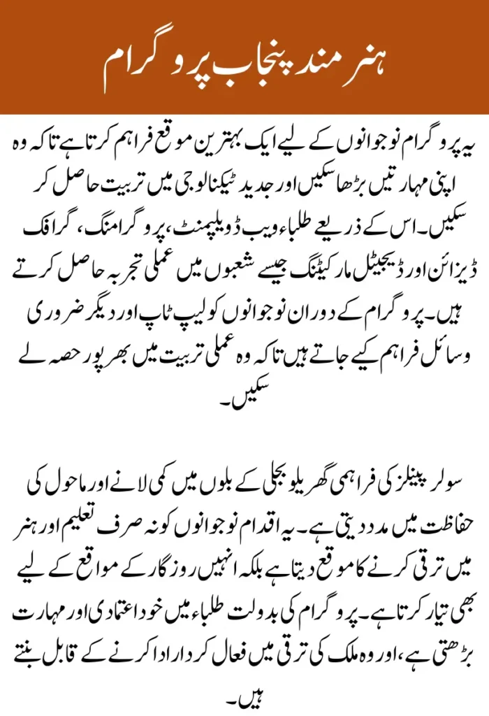 Hunarmand Punjab Program