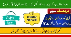 Hunarmand Punjab Program